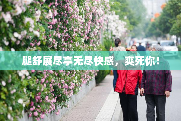 腿舒展尽享无尽快感，爽死你！