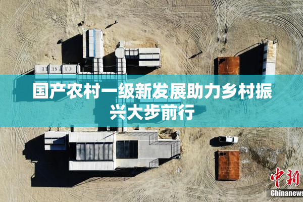 国产农村一级新发展助力乡村振兴大步前行