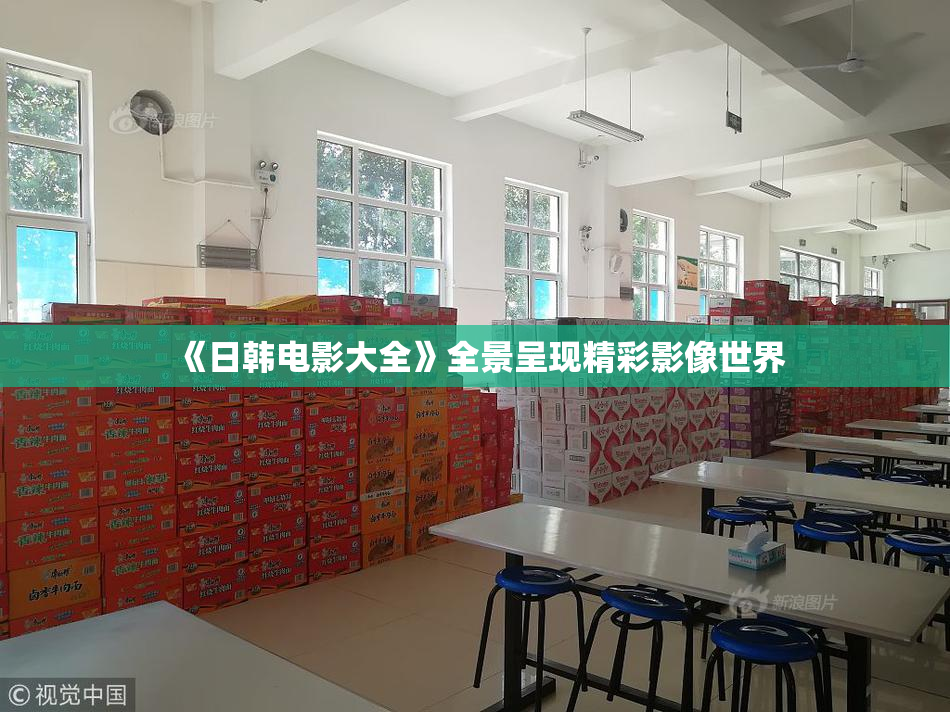 《日韩电影大全》全景呈现精彩影像世界