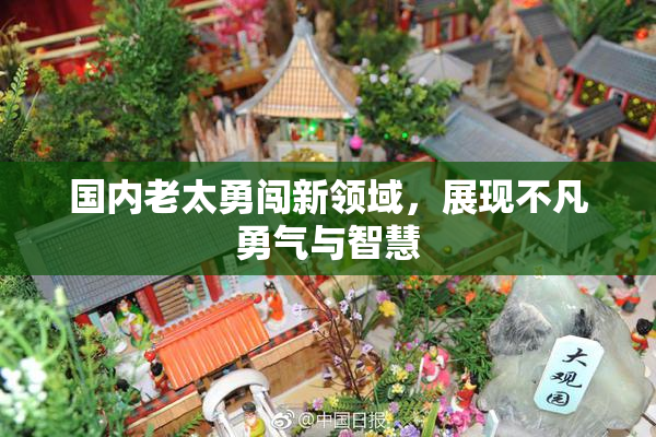 国内老太勇闯新领域，展现不凡勇气与智慧