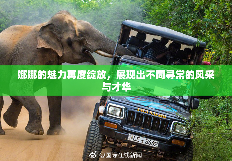 娜娜的魅力再度绽放，展现出不同寻常的风采与才华