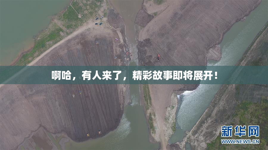 啊哈，有人来了，精彩故事即将展开！
