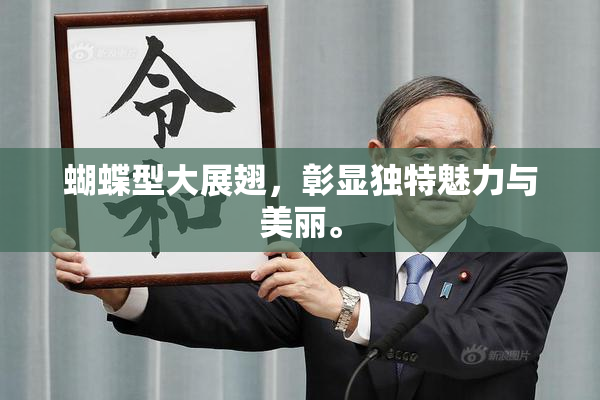 蝴蝶型大展翅，彰显独特魅力与美丽。