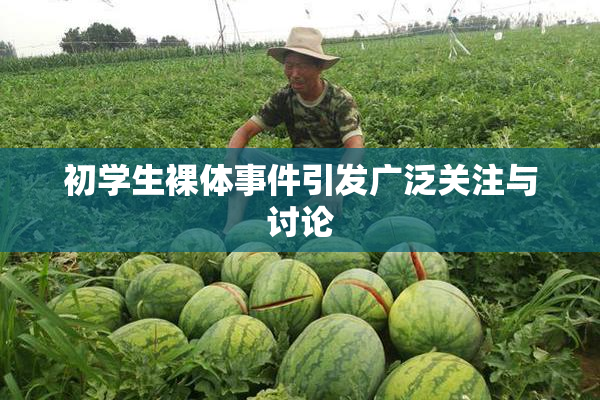 初学生裸体事件引发广泛关注与讨论