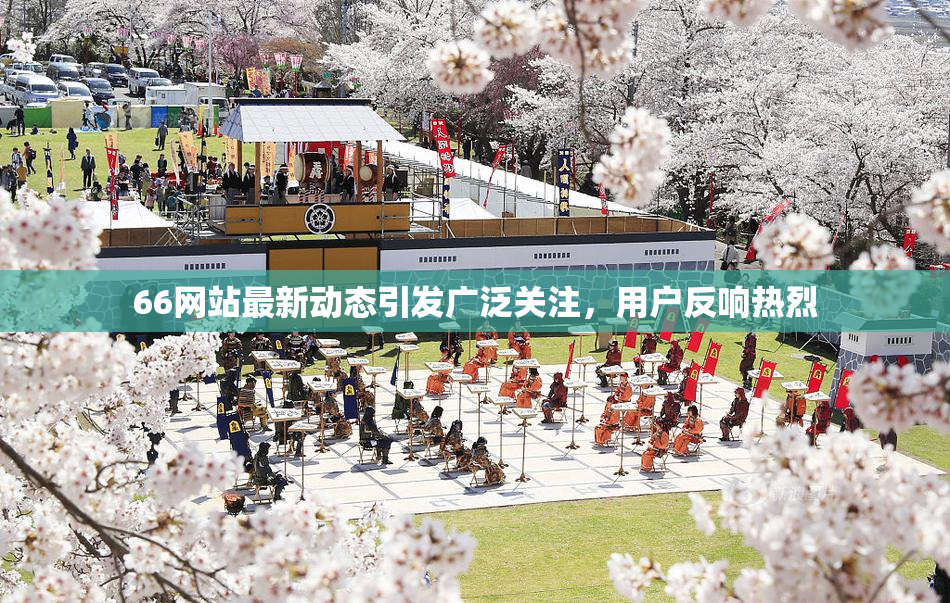 66网站最新动态引发广泛关注，用户反响热烈