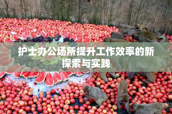 护士办公场所提升工作效率的新探索与实践