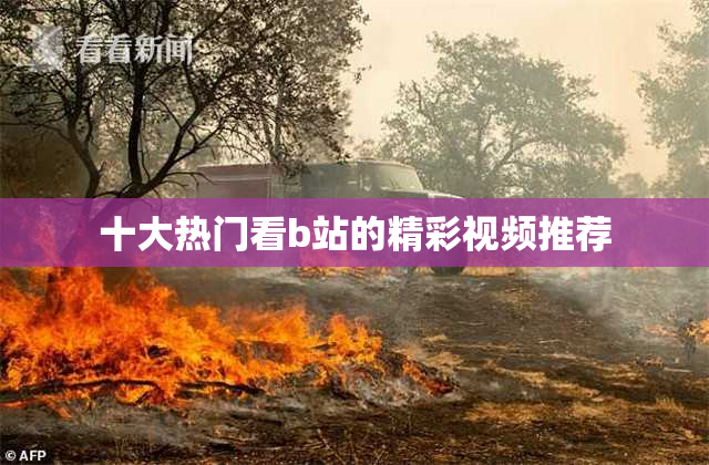 十大热门看b站的精彩视频推荐