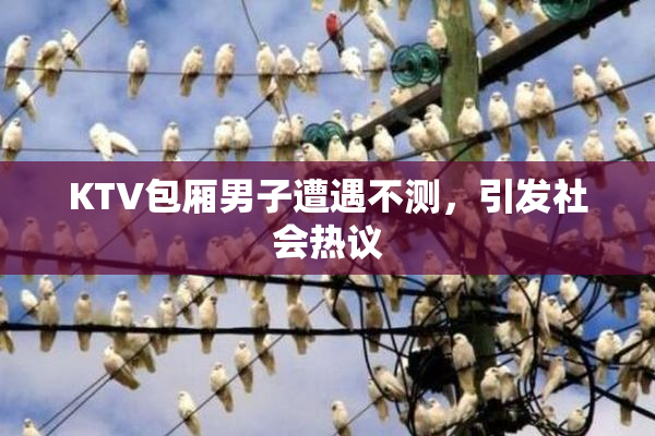 KTV包厢男子遭遇不测，引发社会热议