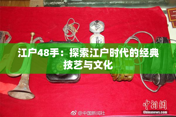 江户48手：探索江户时代的经典技艺与文化