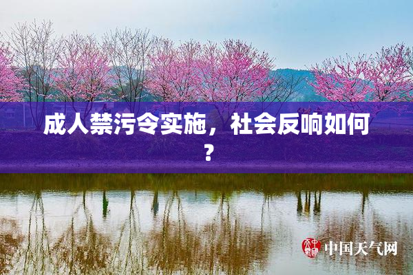 成人禁污令实施，社会反响如何？