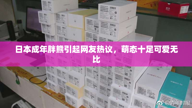 日本成年胖熊引起网友热议，萌态十足可爱无比