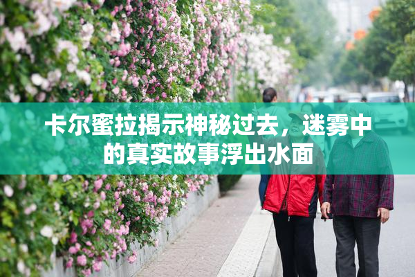 卡尔蜜拉揭示神秘过去，迷雾中的真实故事浮出水面