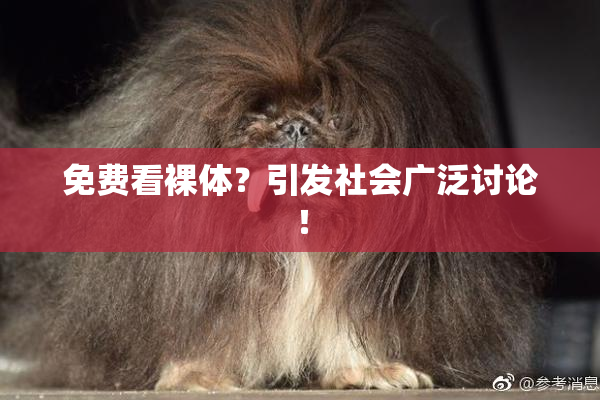 免费看裸体？引发社会广泛讨论！