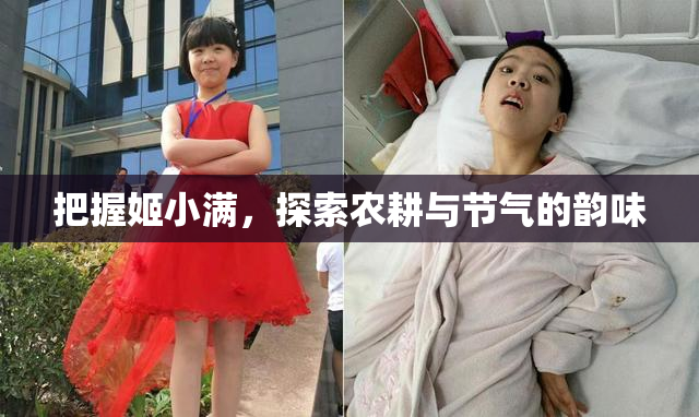 把握姬小满，探索农耕与节气的韵味