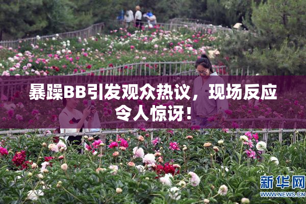 暴躁BB引发观众热议，现场反应令人惊讶！