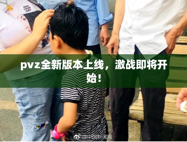 pvz全新版本上线，激战即将开始！