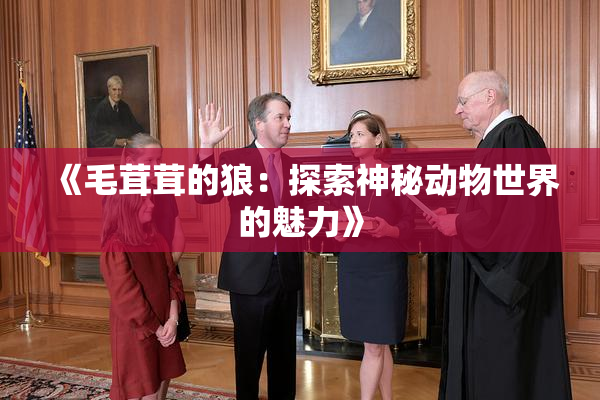 《毛茸茸的狼：探索神秘动物世界的魅力》