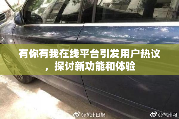 有你有我在线平台引发用户热议，探讨新功能和体验
