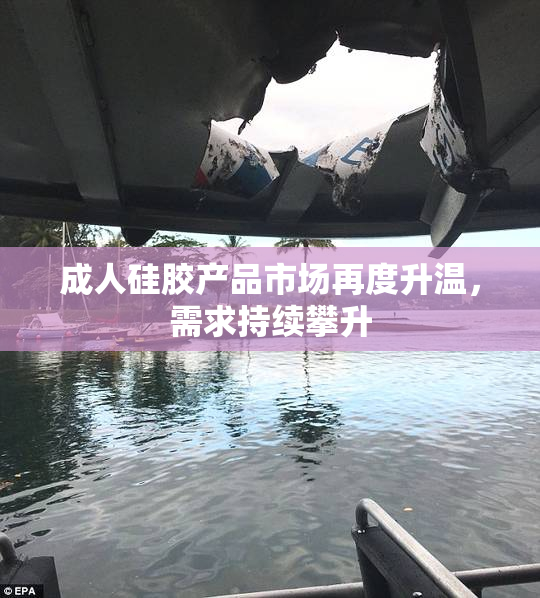 成人硅胶产品市场再度升温，需求持续攀升