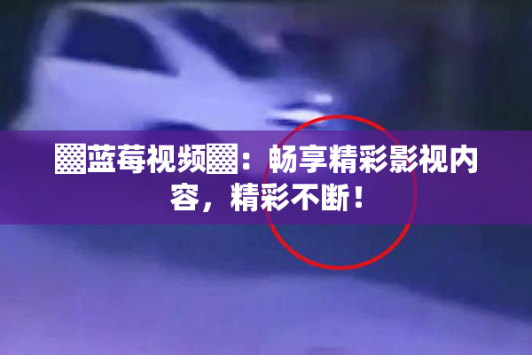 ▓蓝莓视频▓：畅享精彩影视内容，精彩不断！