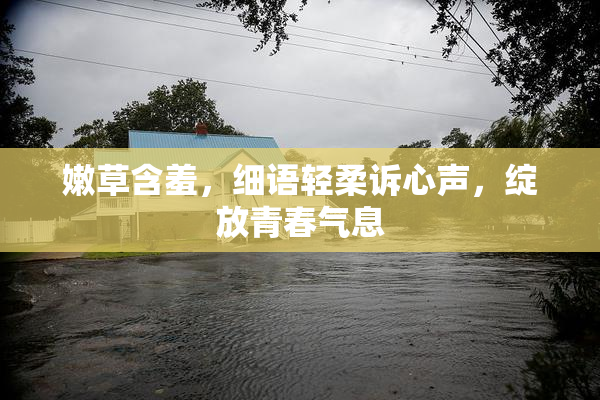 嫩草含羞，细语轻柔诉心声，绽放青春气息