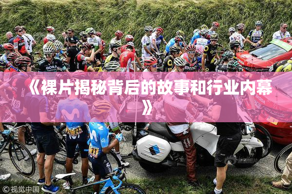 《裸片揭秘背后的故事和行业内幕》