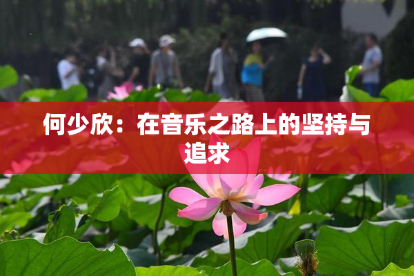 何少欣：在音乐之路上的坚持与追求