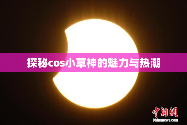 探秘cos小草神的魅力与热潮
