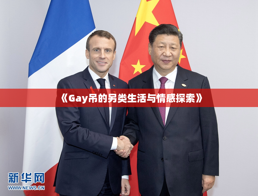 《Gay吊的另类生活与情感探索》