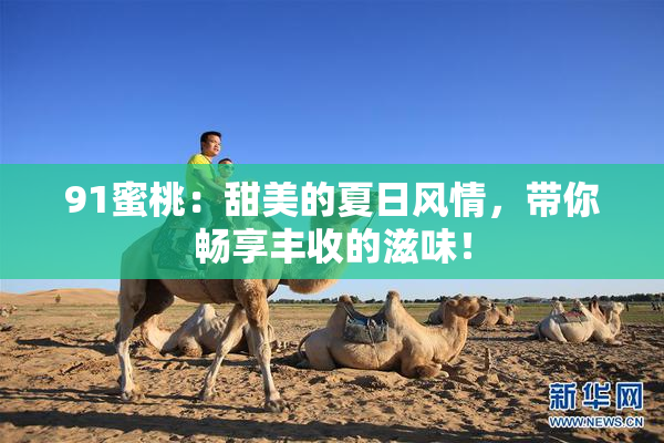 91蜜桃：甜美的夏日风情，带你畅享丰收的滋味！