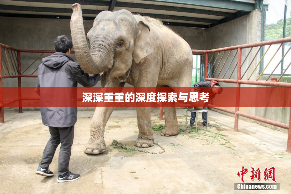 深深重重的深度探索与思考