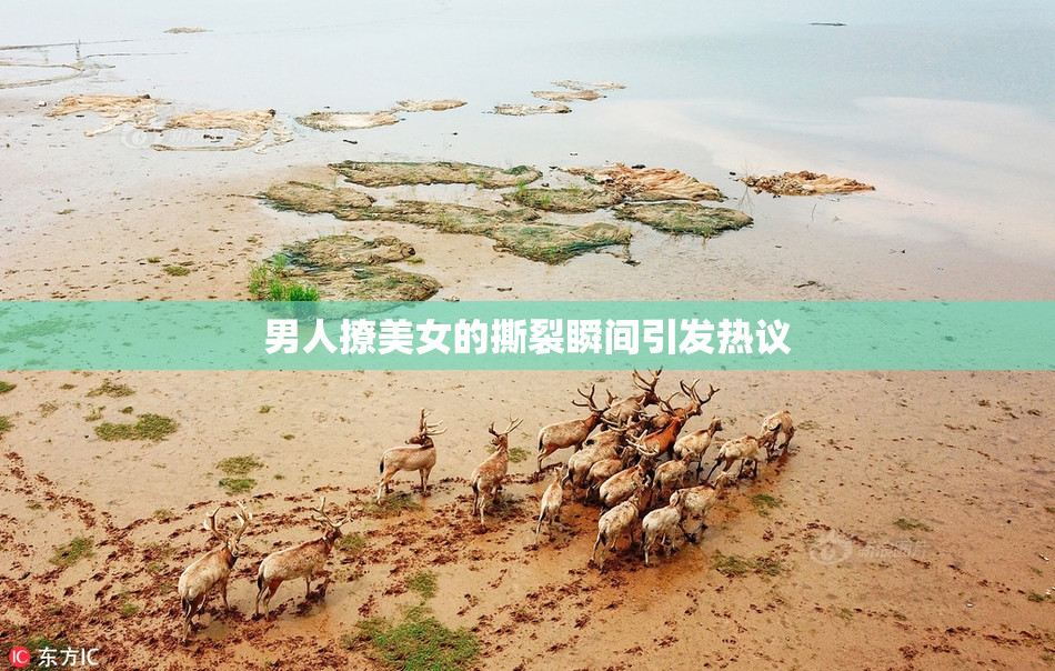 男人撩美女的撕裂瞬间引发热议