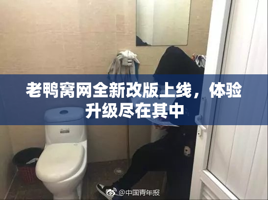 老鸭窝网全新改版上线，体验升级尽在其中