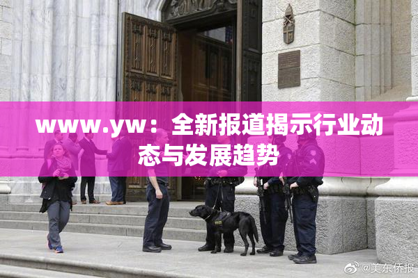 www.yw：全新报道揭示行业动态与发展趋势