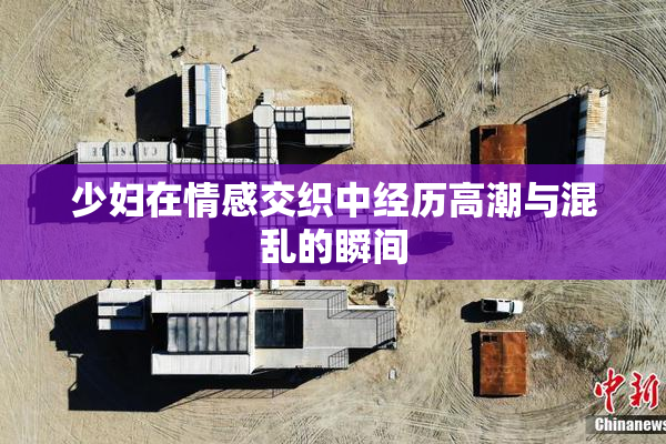 少妇在情感交织中经历高潮与混乱的瞬间