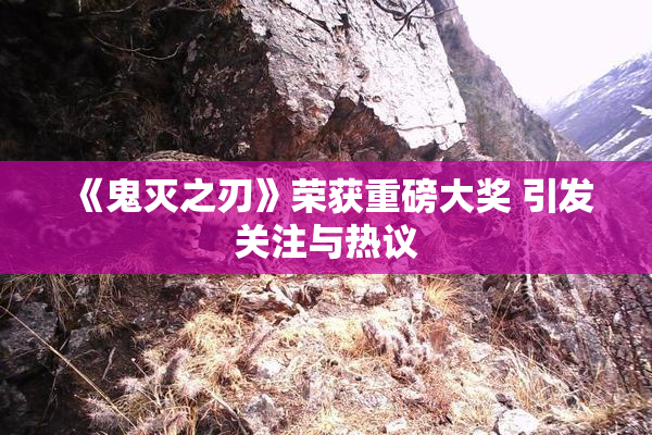 《鬼灭之刃》荣获重磅大奖 引发关注与热议