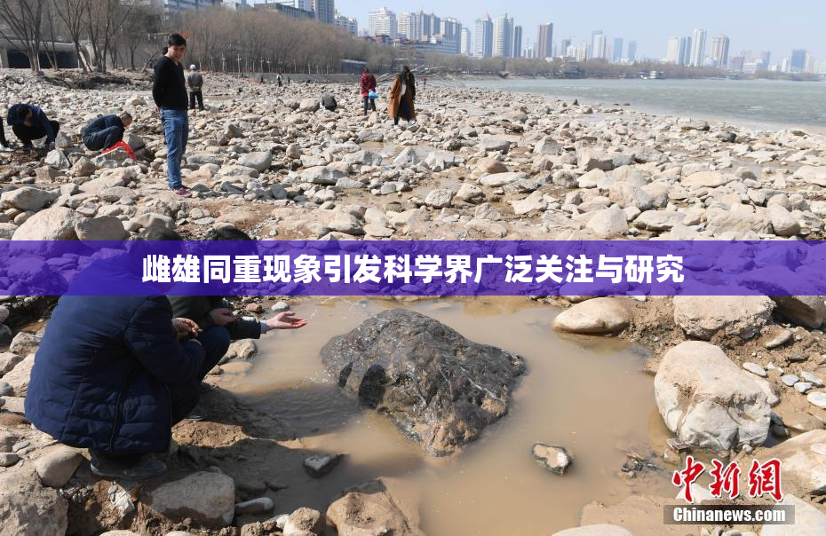 雌雄同重现象引发科学界广泛关注与研究