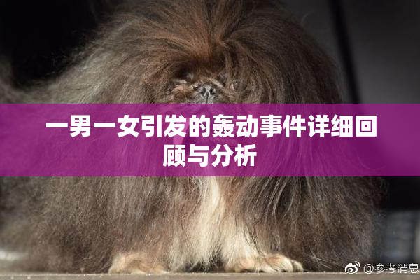 一男一女引发的轰动事件详细回顾与分析
