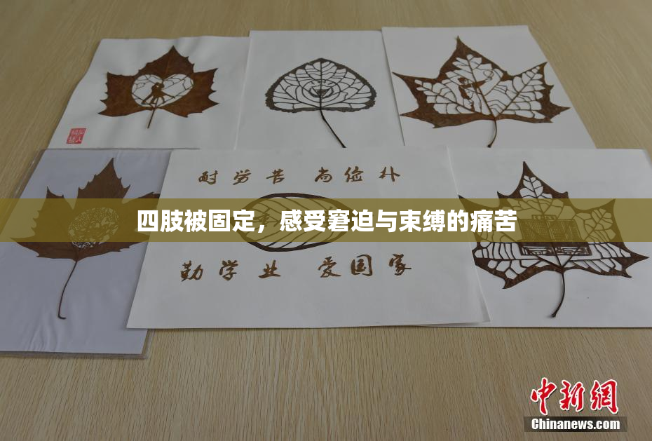 四肢被固定，感受窘迫与束缚的痛苦