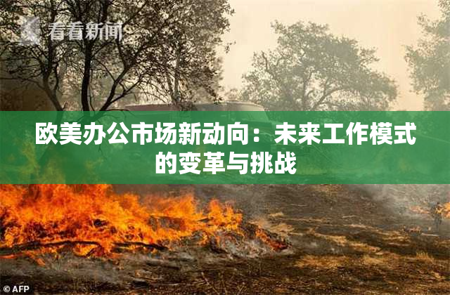欧美办公市场新动向：未来工作模式的变革与挑战