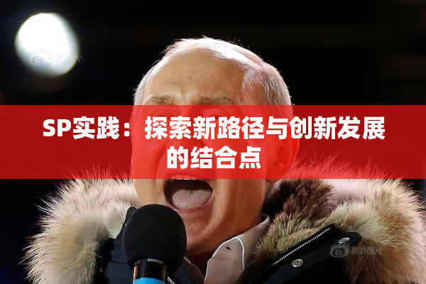 SP实践：探索新路径与创新发展的结合点