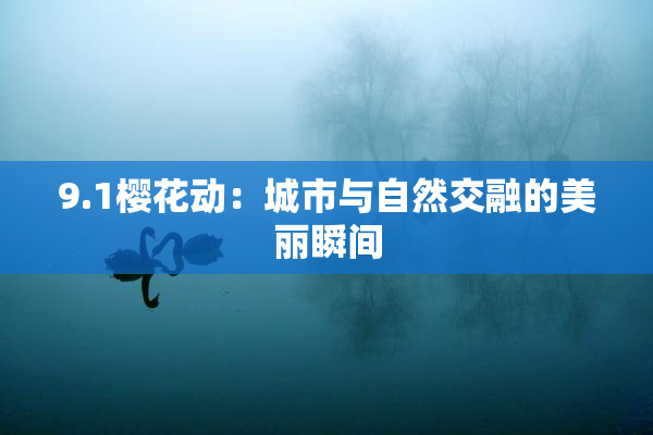 9.1樱花动：城市与自然交融的美丽瞬间
