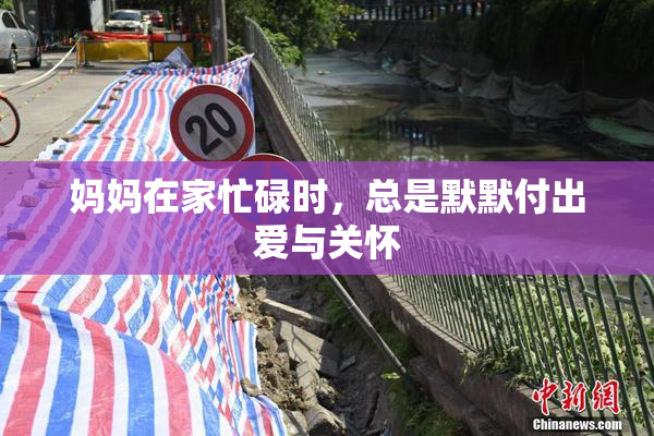 妈妈在家忙碌时，总是默默付出爱与关怀