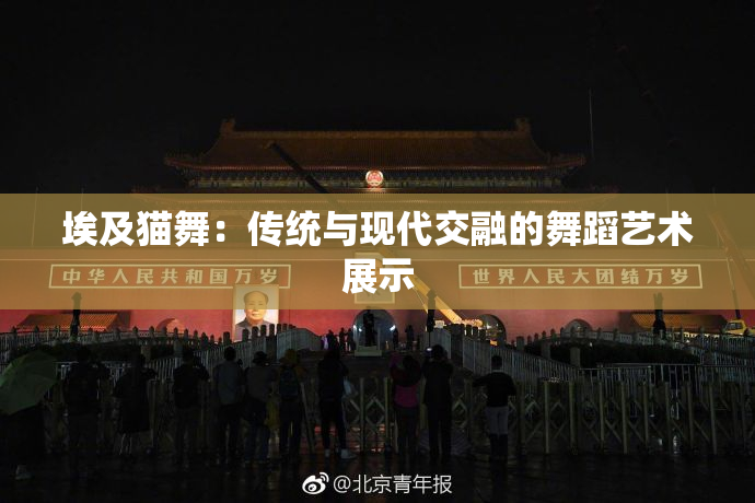 埃及猫舞：传统与现代交融的舞蹈艺术展示