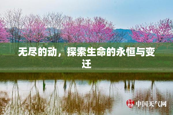无尽的动，探索生命的永恒与变迁