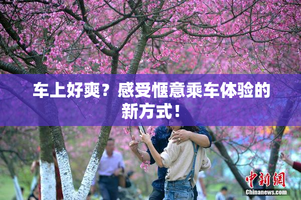 车上好爽？感受惬意乘车体验的新方式！