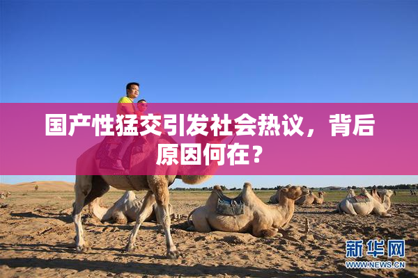 国产性猛交引发社会热议，背后原因何在？