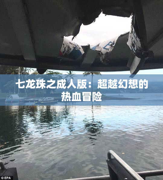 七龙珠之成人版：超越幻想的热血冒险