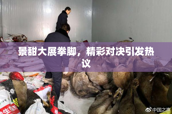 景甜大展拳脚，精彩对决引发热议