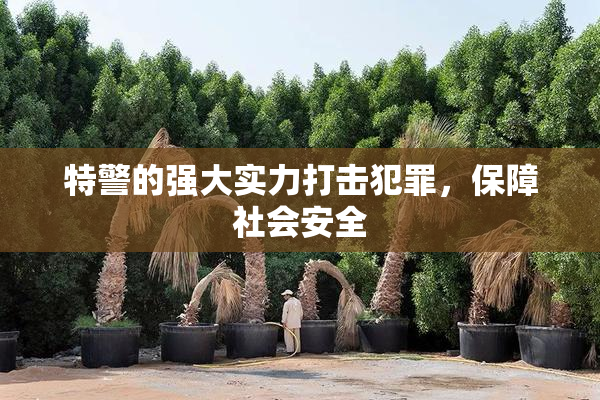 特警的强大实力打击犯罪，保障社会安全